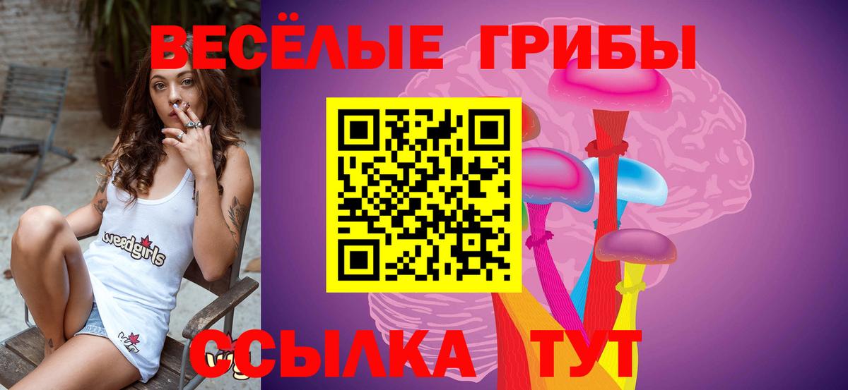 Псилоцибиновые грибы Cubensis  Галлюциногенные грибы Psilocybine cubensis  Лянтор  наркота  Вход с VPN 